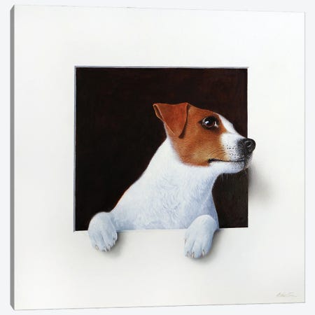 Jack Russell Canvas Print #ANO29} by Alan Weston Canvas Print