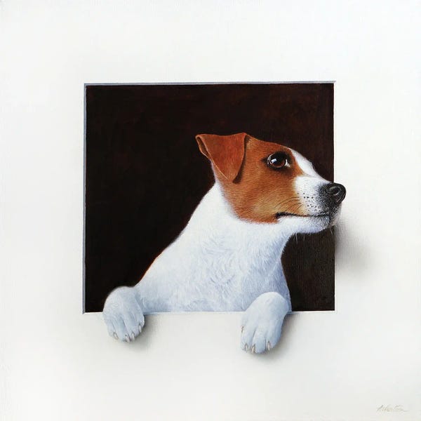 The Modern Man's Best Friend: Jack Russell by Alan Weston