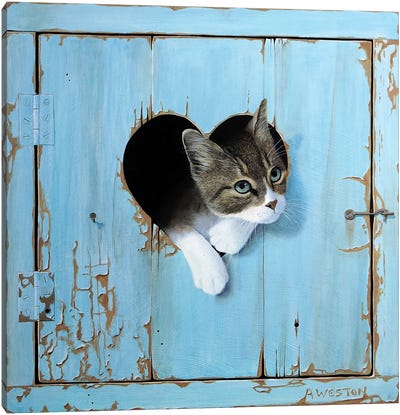 Kitten Canvas Art Print - Alan Weston