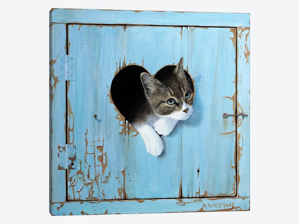 Kitten by Alan Weston 1-piece Art Print