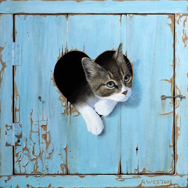 Alan Weston: Kitten by Alan Weston