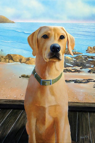 Alan Weston: Labrador by Alan Weston
