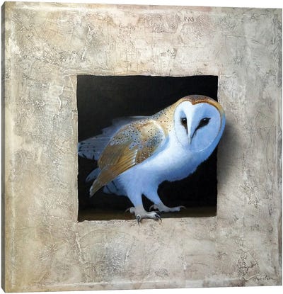 Barn Owl I Canvas Art Print - Grandpa Chic