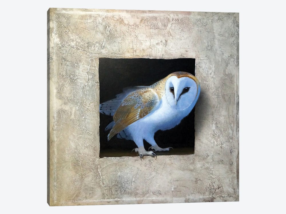 Barn Owl I by Alan Weston 1-piece Canvas Art