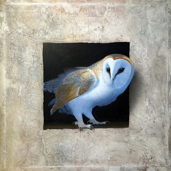 Grandpa Chic: Barn Owl I by Alan Weston