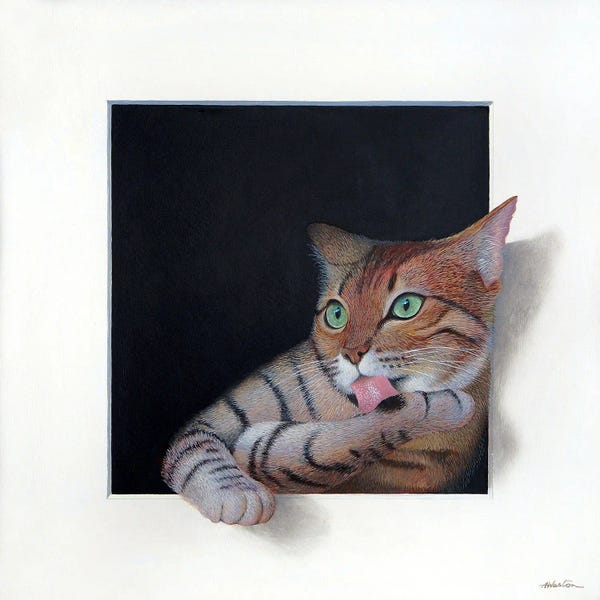 Tabbies: Alice by Alan Weston