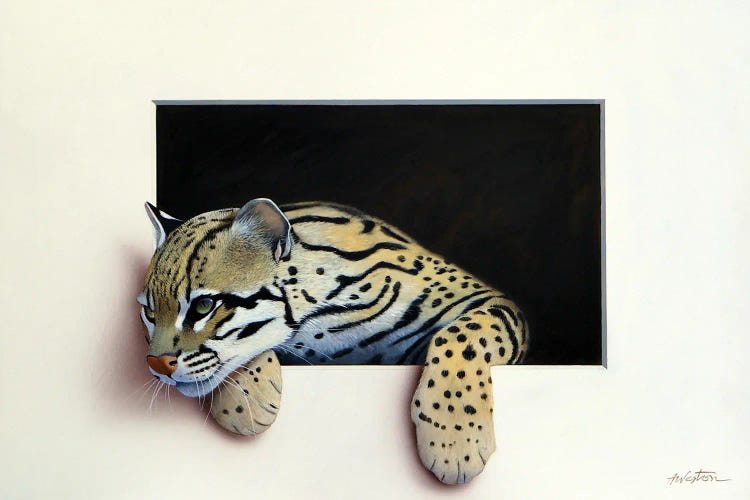 Ocelot