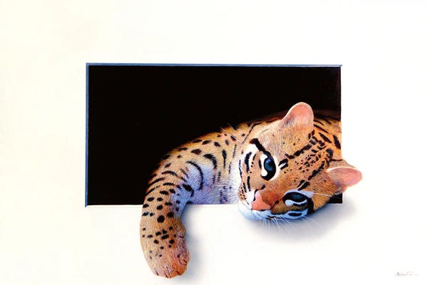 Alan Weston: Ocelot II by Alan Weston
