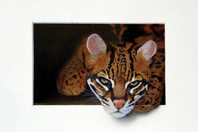Ocelot III by Alan Weston canvas print