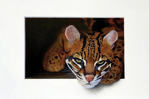 Alan Weston: Ocelot III by Alan Weston