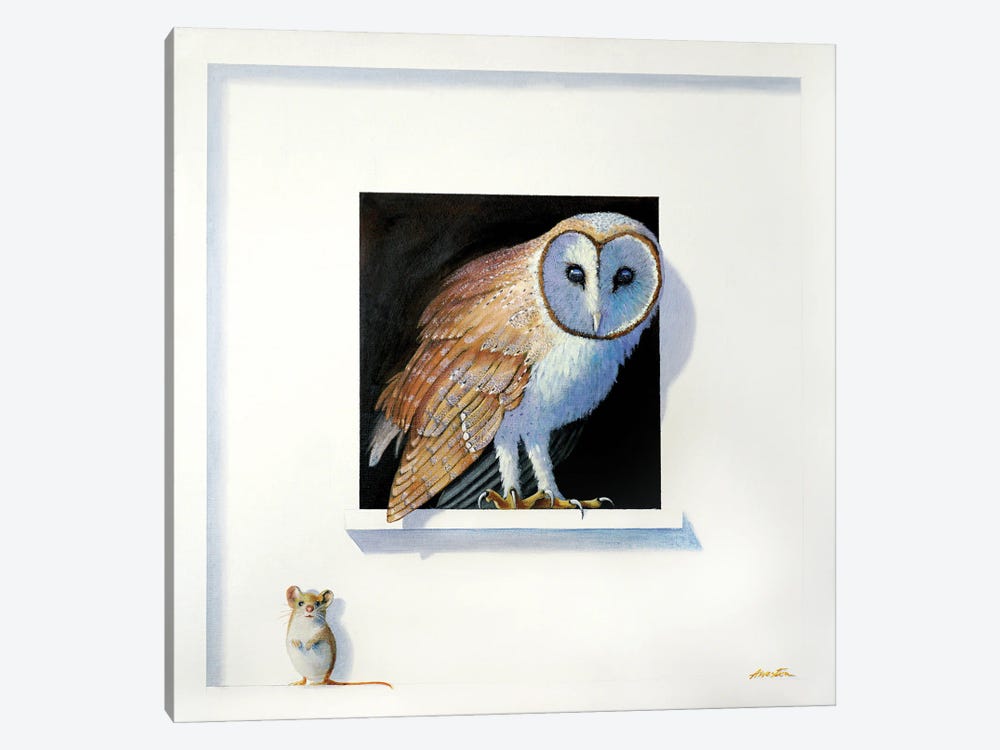Barn Owl III by Alan Weston 1-piece Canvas Wall Art