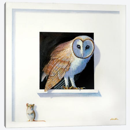 Barn Owl III Canvas Print #ANO50} by Alan Weston Canvas Art