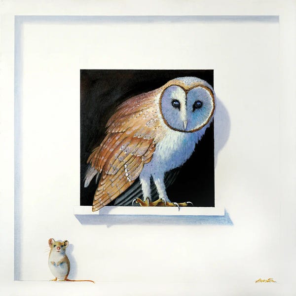 Rodents: Barn Owl III by Alan Weston