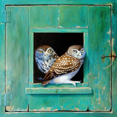 Owl by Alan Weston art print