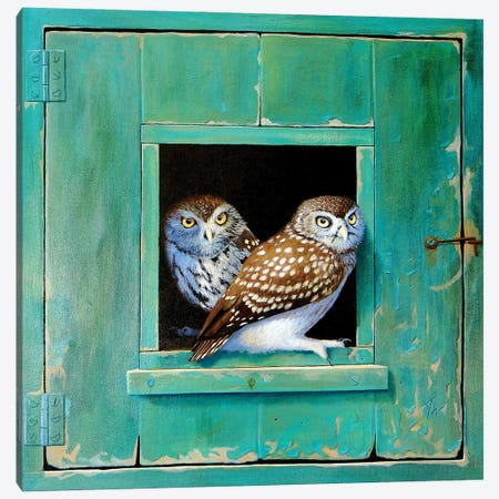 Owl Canvas Print #ANO51} by Alan Weston Canvas Art