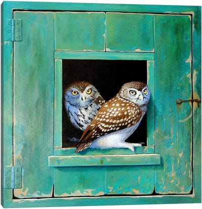 Owl Canvas Art Print - Alan Weston