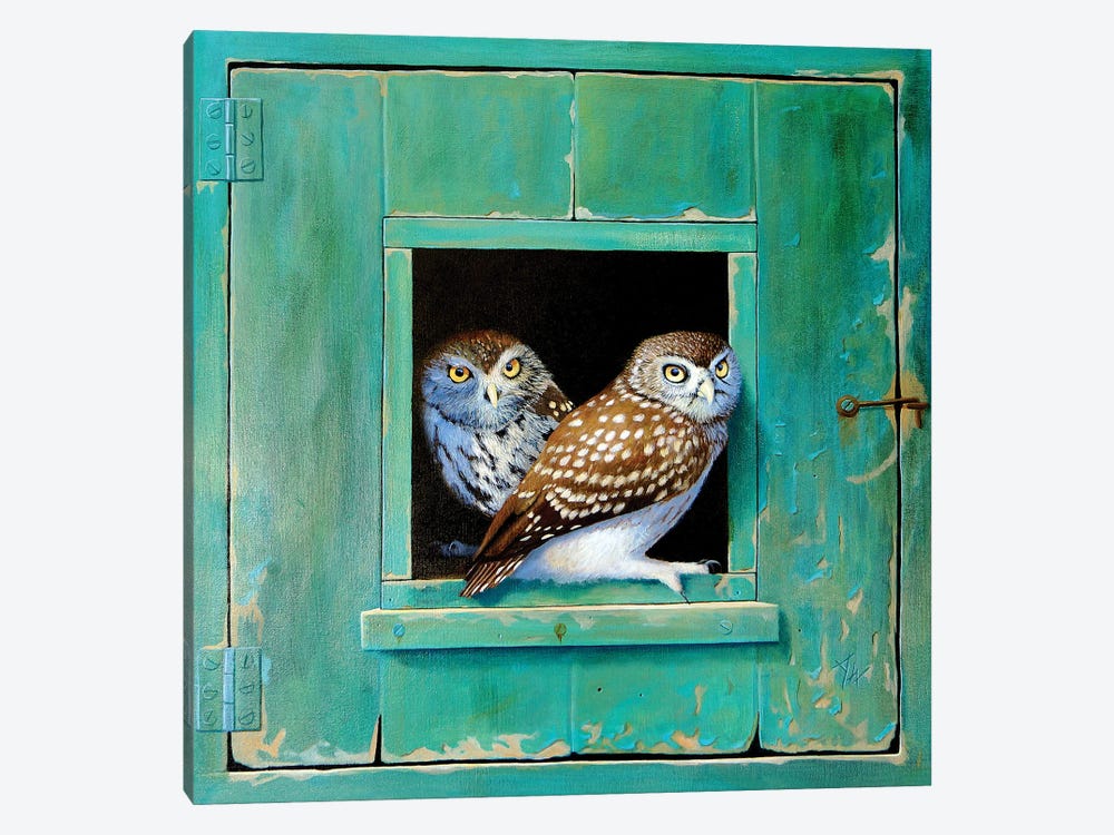 Owl by Alan Weston 1-piece Canvas Art Print