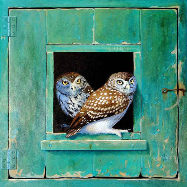 Alan Weston: Owl by Alan Weston