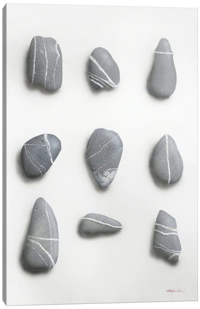 Pebbles Canvas Art Print - Natural Elements