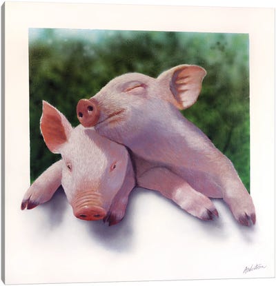 Piglet Canvas Art Print - Alan Weston