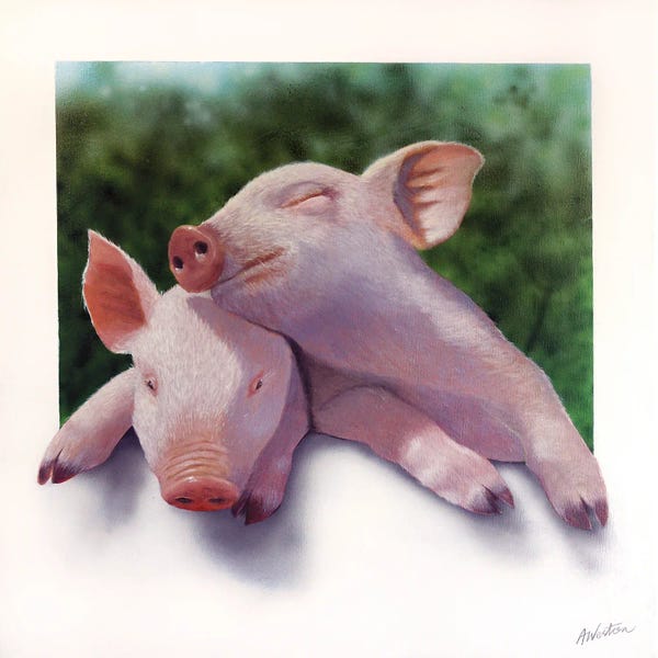 Alan Weston: Piglet by Alan Weston
