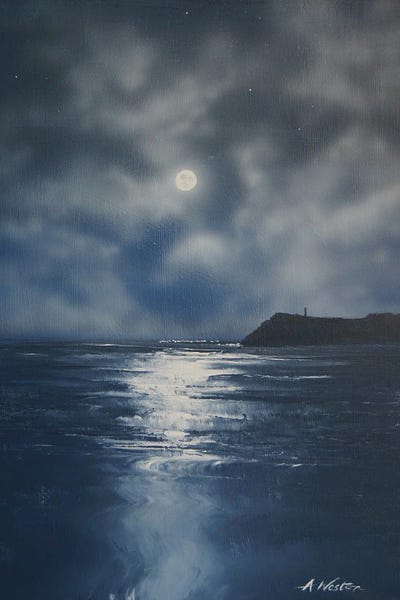 Black Head by Alan Weston canvas print