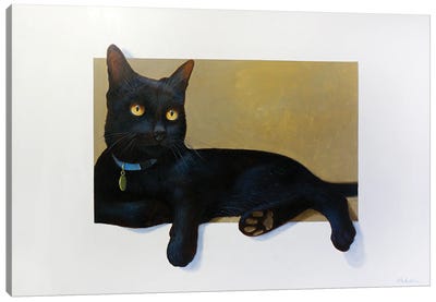 Tommy Canvas Art Print - Black Cat Art