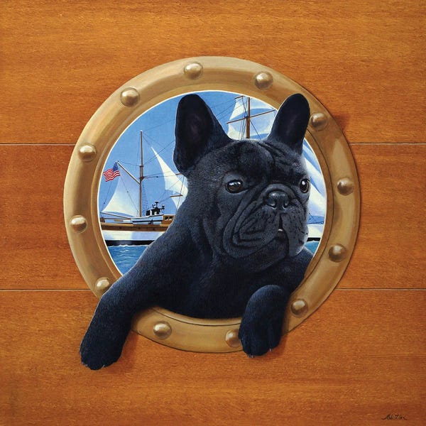 French Bulldogs: Tuckky by Alan Weston