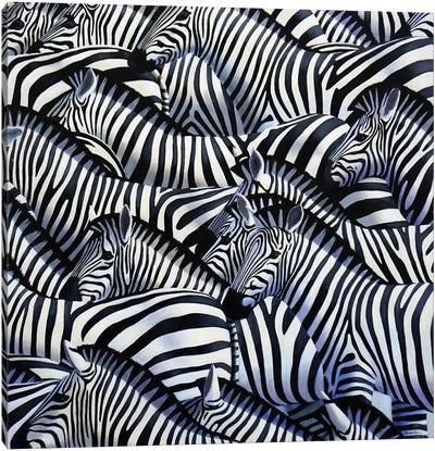 Zebra II Canvas Art Print - Black & White Patterns