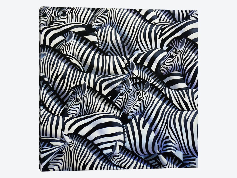 Zebra II by Alan Weston 1-piece Canvas Art