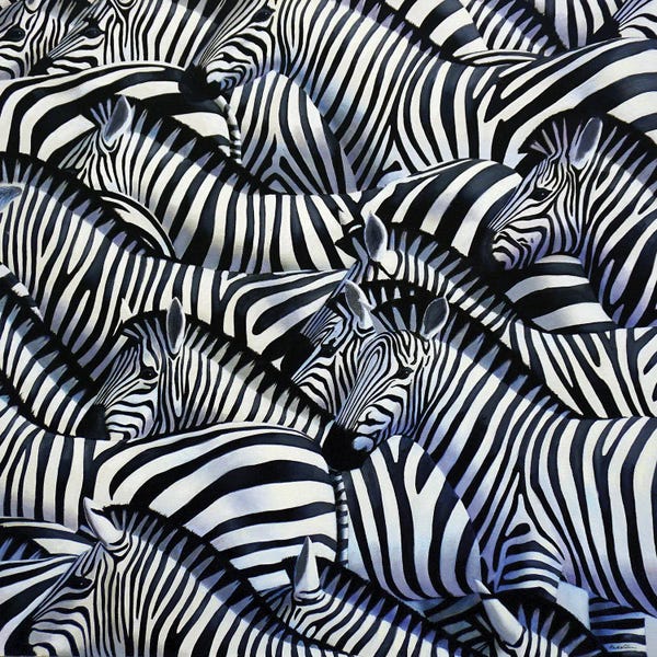 Black & White Patterns: Zebra II by Alan Weston