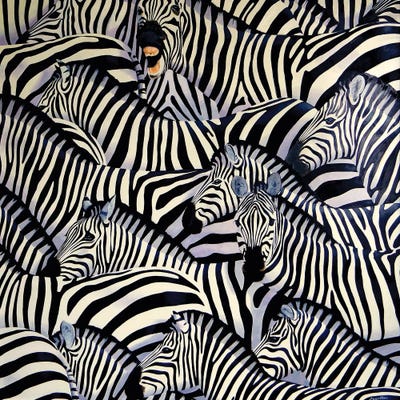 Zebra III by Alan Weston canvas print