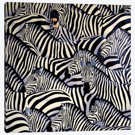 Zebra III Canvas Print #ANO84} by Alan Weston Canvas Wall Art
