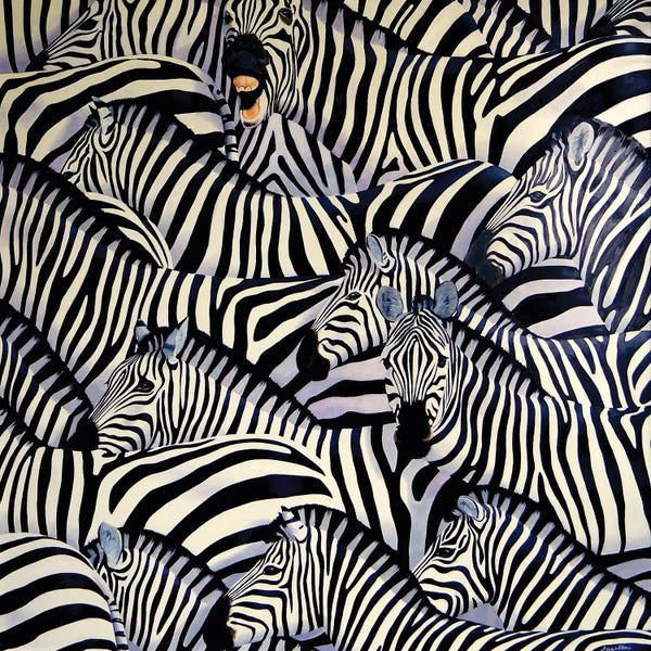 Animal Patterns: Zebra III by Alan Weston