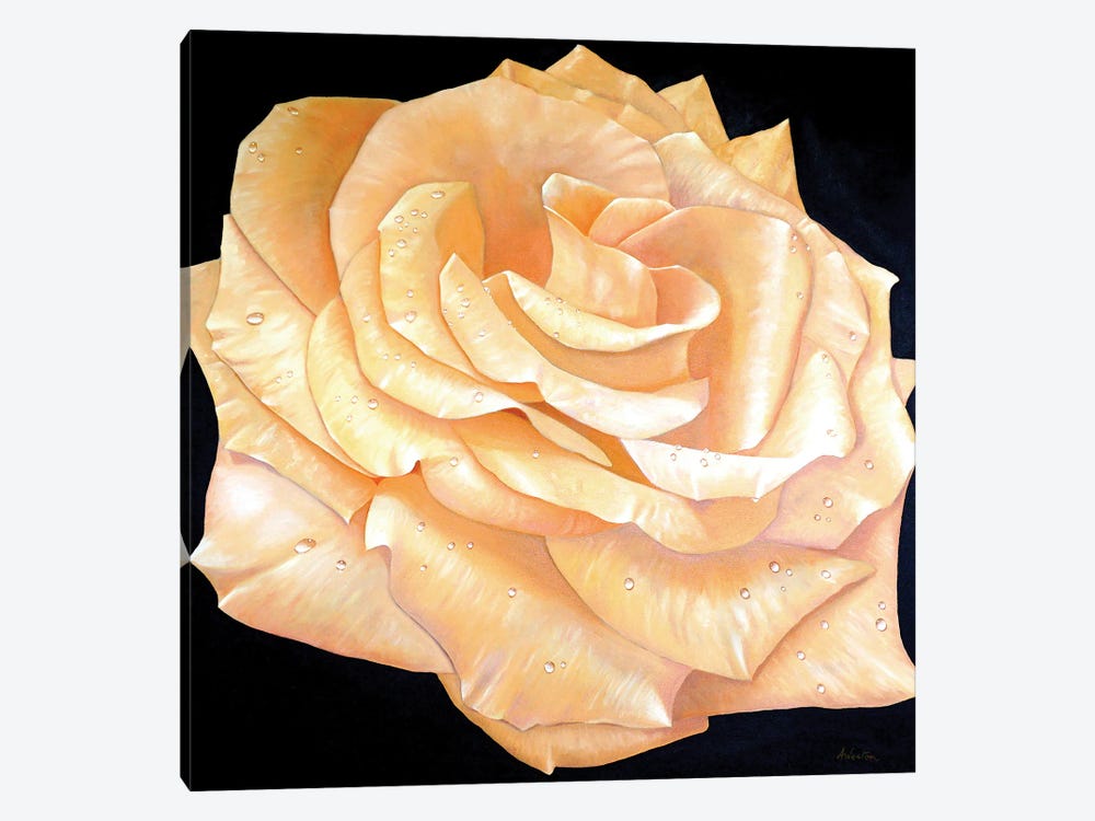 Roses by Alan Weston 1-piece Canvas Wall Art