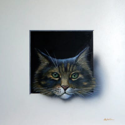 Coco by Alan Weston canvas print