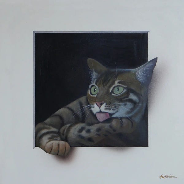 Alan Weston: Tabby by Alan Weston