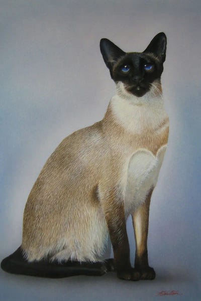 Siamese Cats by Alan Weston art print