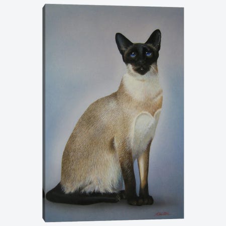 Siamese Cats Canvas Print #ANO89} by Alan Weston Canvas Print