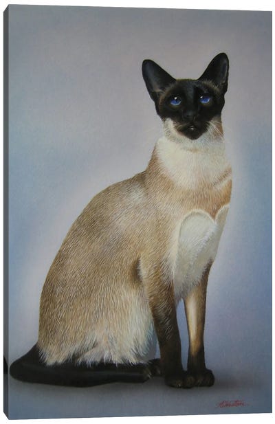 Siamese Cats Canvas Art Print - Siamese Cat Art