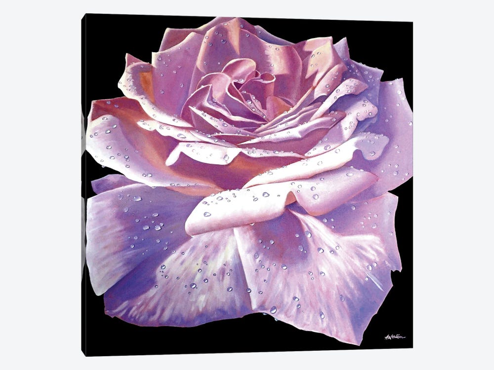 Pink Roses by Alan Weston 1-piece Canvas Artwork