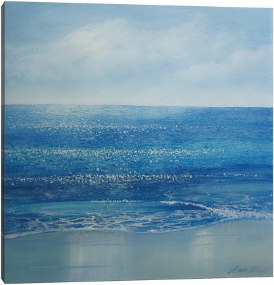 Split Beach Canvas Art Print - Alan Weston