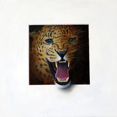 Oscelot by Alan Weston art print