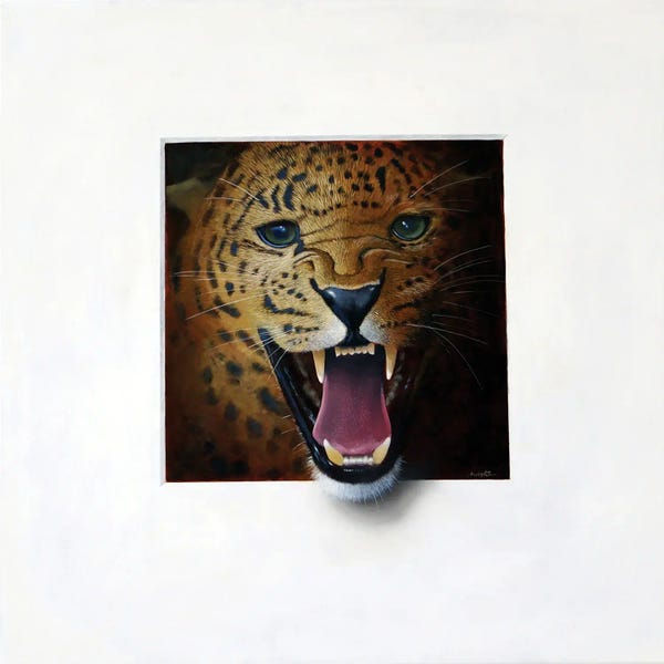 Cheetahs: Oscelot by Alan Weston