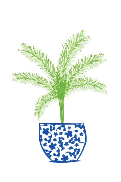 Anna Quach: Potted Plant II by Anna Quach