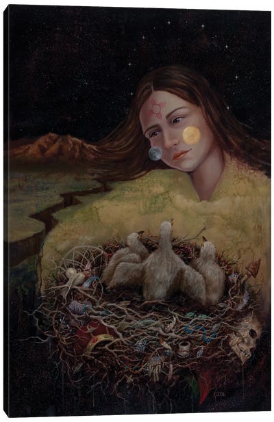 Mother New Mexico Canvas Art Print - Nests