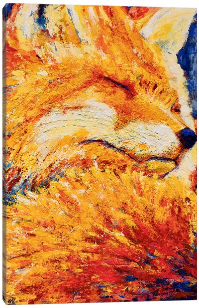 Goodnight Fox Canvas Art Print - Anne-Marie Verdel