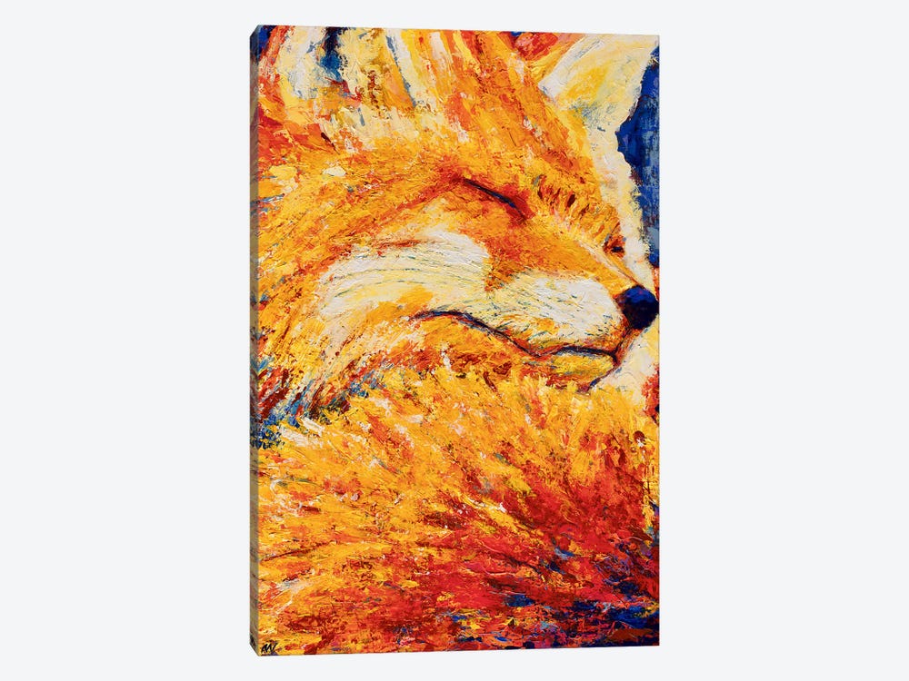 Goodnight Fox by Anne-Marie Verdel 1-piece Canvas Print