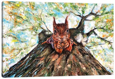Hang On To Your Nuts Canvas Art Print - Squirrel Art