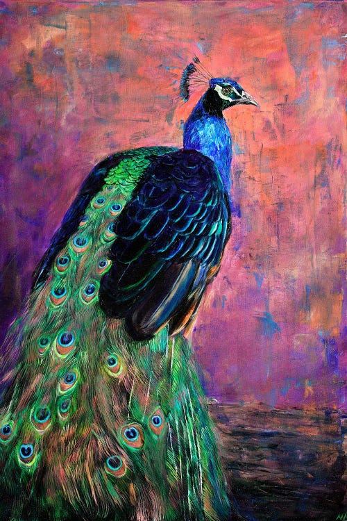 Mr. Sander's Peacock